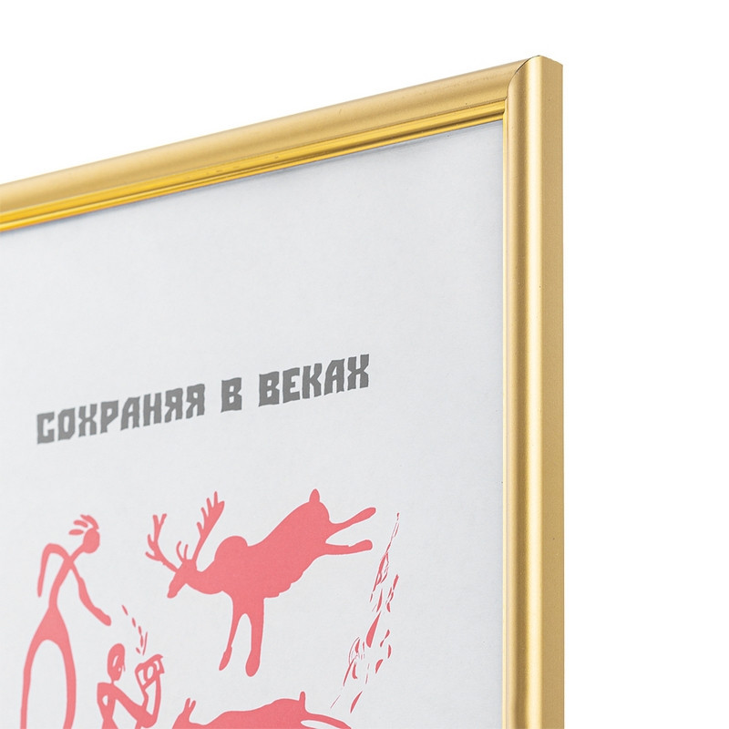 Рамка 21 x 30 (A4), багет 14 мм пластик, вставка пластик, цвет "золото"