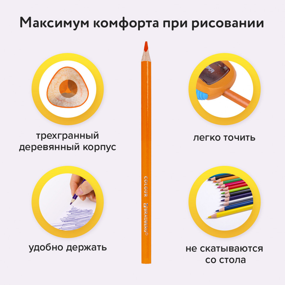 Карандаши цветные трехгранные, BRAUBERG PREMIUM, 12 цветов, грифель мягкий, диаметр грифеля 3,3 мм, 181651