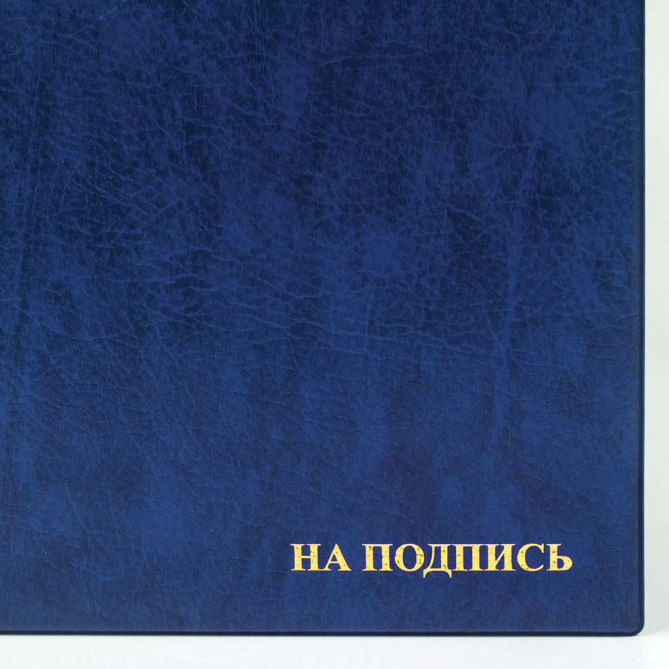 Папка адресная "На подпись" формата А4, увеличенная вместимость до 100 листов, ПВХ, синяя