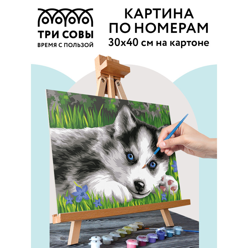 Картина по номерам на картоне ТРИ СОВЫ "Голубоглазый пушистик", размер 30 х 40 см, с акриловыми красками и кистями