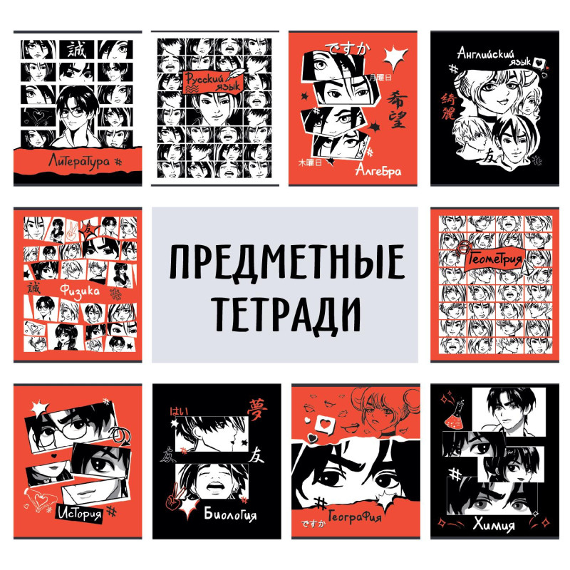 Набор предметных тетрадей "Аниме" 48 листов А5, офсет 65 г/м2, 10 предметов