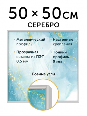 Рамка Нельсон (Nielsen) 50 x 50 см, багет 9 мм алюминий, цвет "серебро"