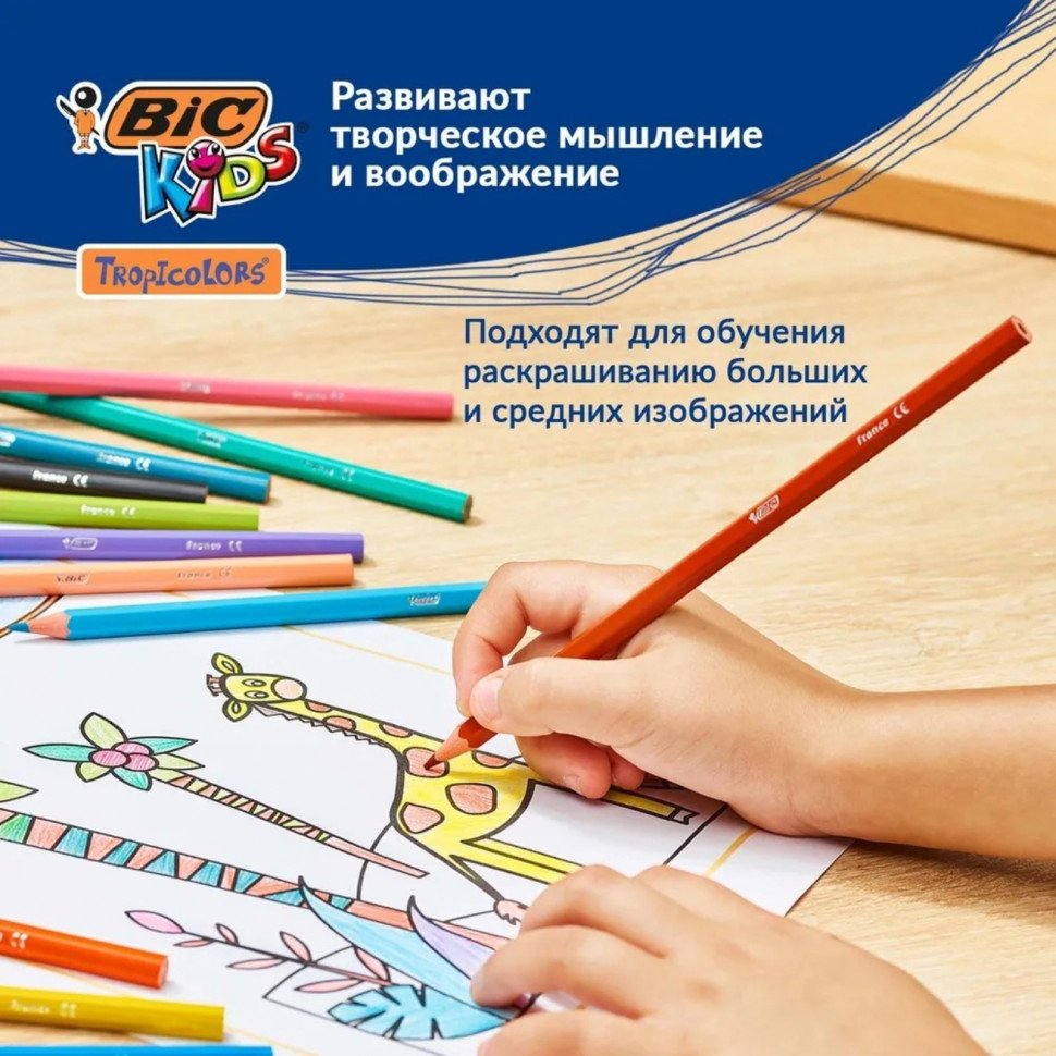 Карандаши цветные BIC Tropicolors, 12 цветов, заточенные, диаметр грифеля 3 мм, BIC 832566