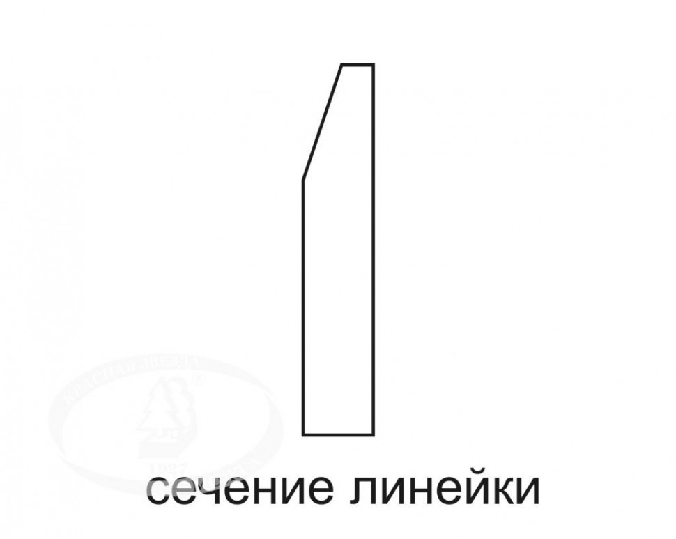 Линейка справочная ЛСД Физика, 300 мм, С25