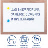 Доска магнитно-маркерная А4 в комплекте с магнитами, лаковое покрытие, размер 254 x 342 мм
