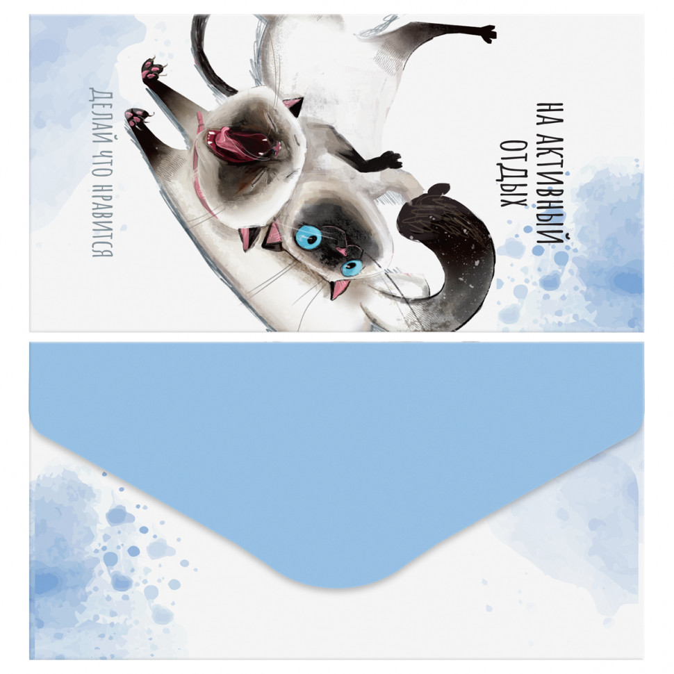 Конверт для денег MESHU "Cute kittens" 85 х 164 мм, матовая ламинация