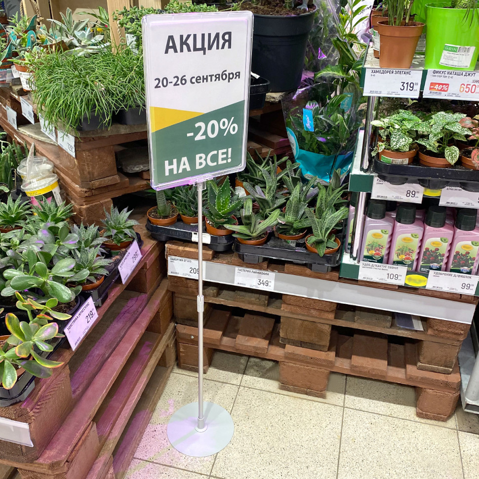Пластиковая рамка с закругленными углами формата А4, без прозрачного кармана, прозрачная
