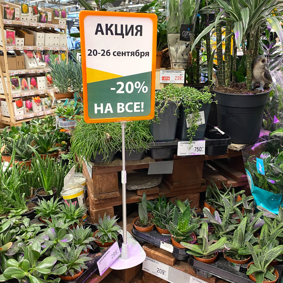 Пластиковая рамка с закругленными углами формата А4, без прозрачного кармана, цвет оранжевый