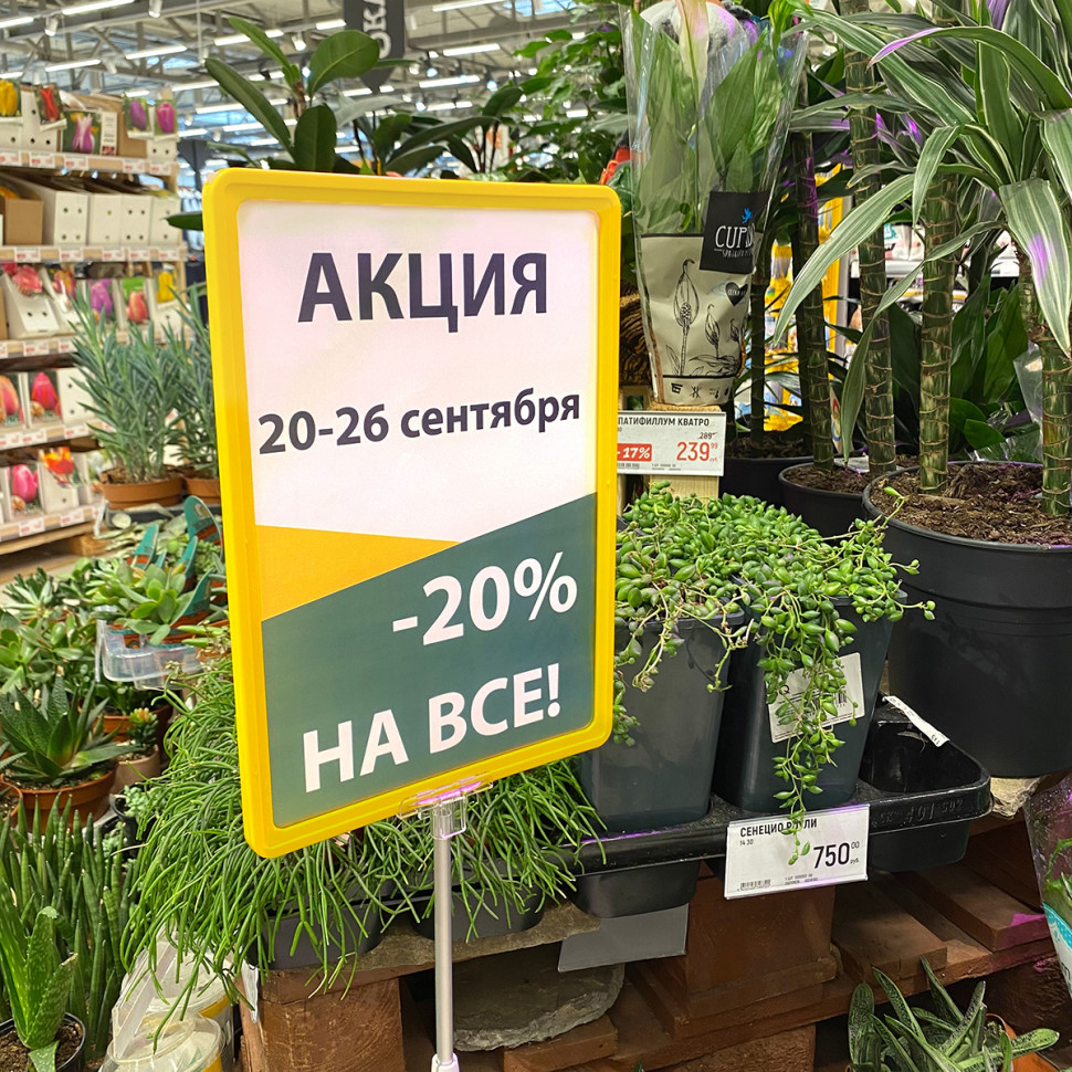 Пластиковая рамка с закругленными углами формата А4, без прозрачного кармана, цвет желтый