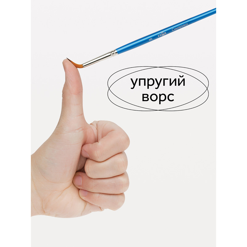 Кисти ГАММА, НАБОР 5 штук (синтетика круглая № 1, 3, 5, плоская № 5, 8), 280618.09.06