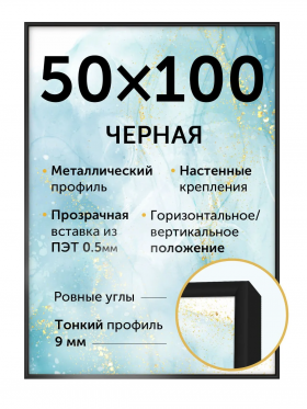 Рамка Нельсон (Nielsen) 50 х 100 см, багет 9 мм алюминий, вставка ПЭТ, цвет черный