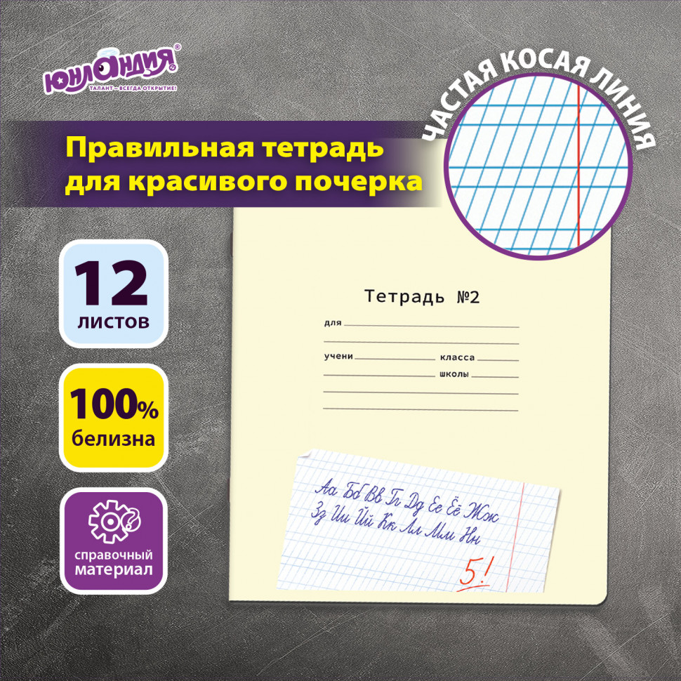 Тетрадь ПРОПИСЬ № 2, 12 листов, частая косая линия, со справочным материалом, ЮНЛАНДИЯ, 404852