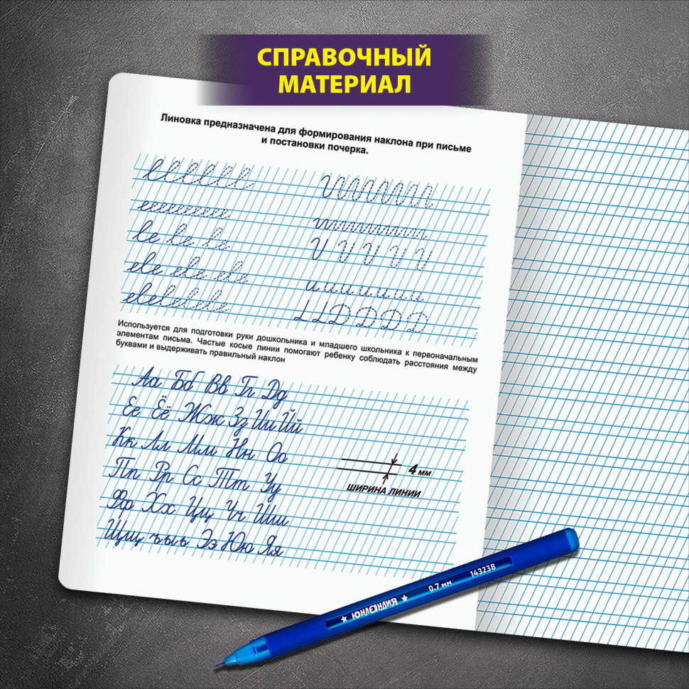 Тетрадь ПРОПИСЬ № 2, 12 листов, частая косая линия, со справочным материалом, ЮНЛАНДИЯ, 404852