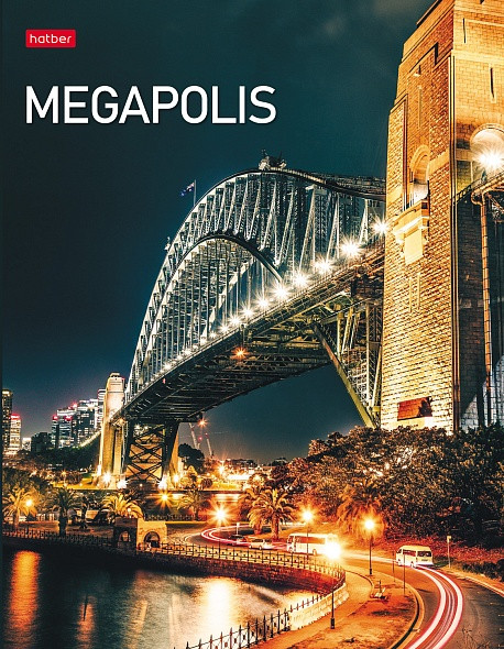 Тетрадь на кольцах, 240 листов А5, ламинированная обложка, "Megapolis"