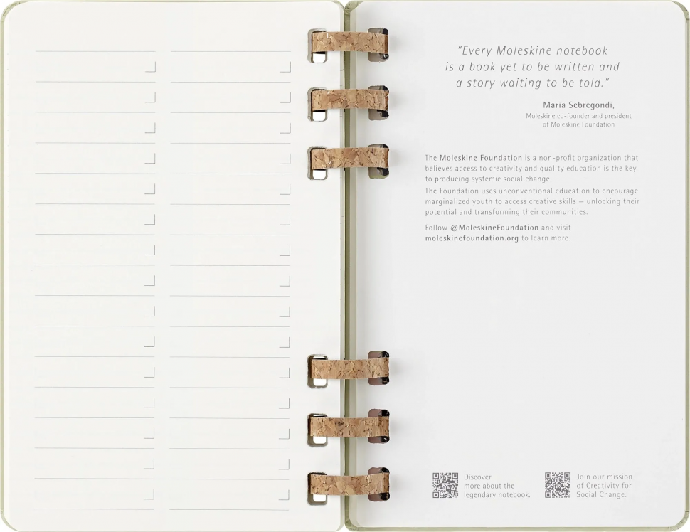 Еженедельник Moleskine ACADEMIC SPIRAL Large, размер 150 х 210 мм, 200 страниц, спираль, цвет киви