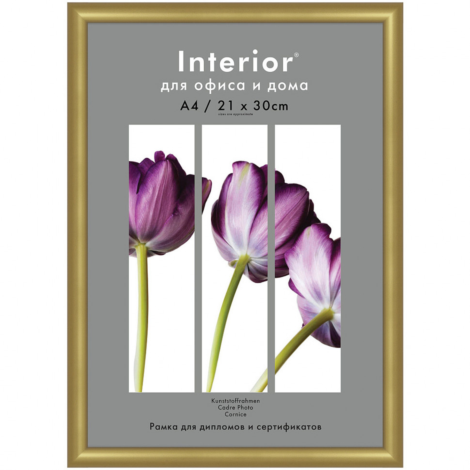 Рамка Interior Office 21 x 30 см (A4), багет 14 мм пластик, со стеклом, цвет "золото"
