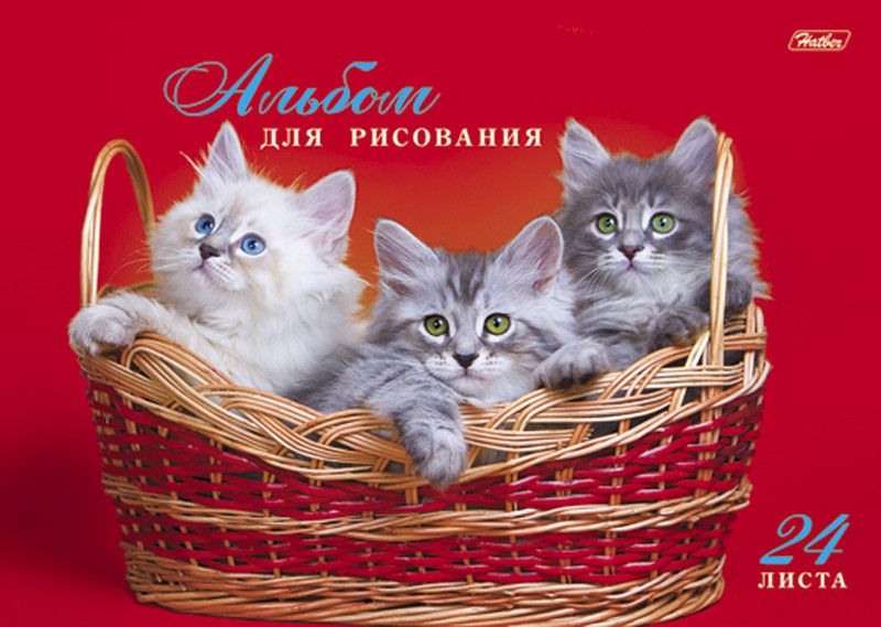 153071_4.jpg