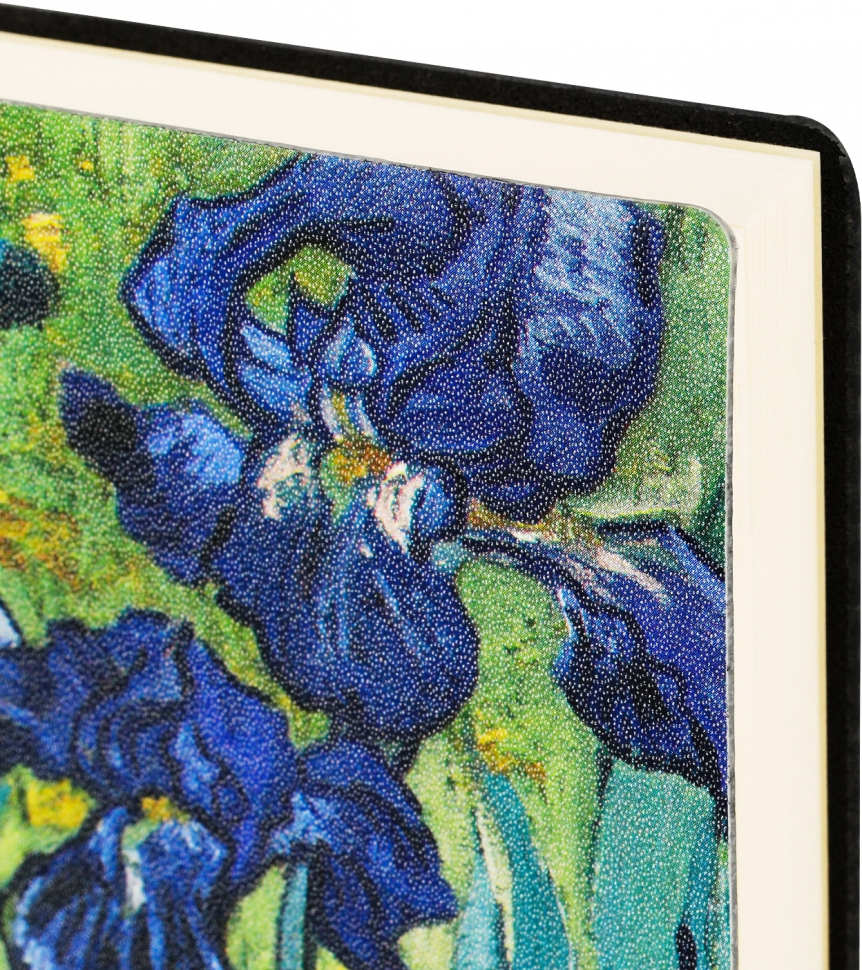 Ежедневник недатированный Deli Van Gogh (Поле), формат A5 (210 х 143 мм), мягкая интегральная обложка из кожзама, тонированная бумага 70 г/м2, 272 страницы, Deli CN146 