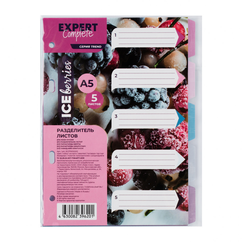 Разделитель листов пластиковый A5 "Expert Complete" Trend IceBerries, 5 листов, толщина пластика 180 мкм, фактура "лён", EC270020202