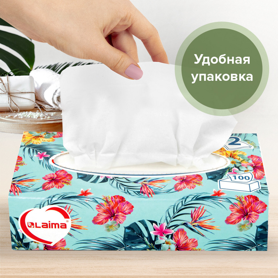 Салфетки косметические двуслойные LAIMA "Everyday", размер 20 х 20 см, уп. 100 салфеток в картонном боксе, Laima 113588