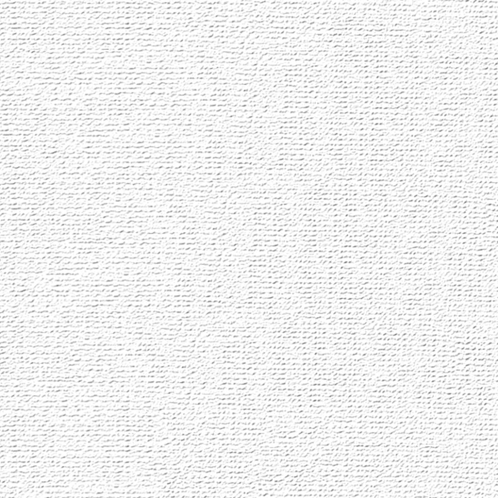 Бумага для пастелей "Палаццо" А4 (210 х 297 мм), цвет "Snow" (белоснежная), плотность 160 г/м2, пачка 50 листов