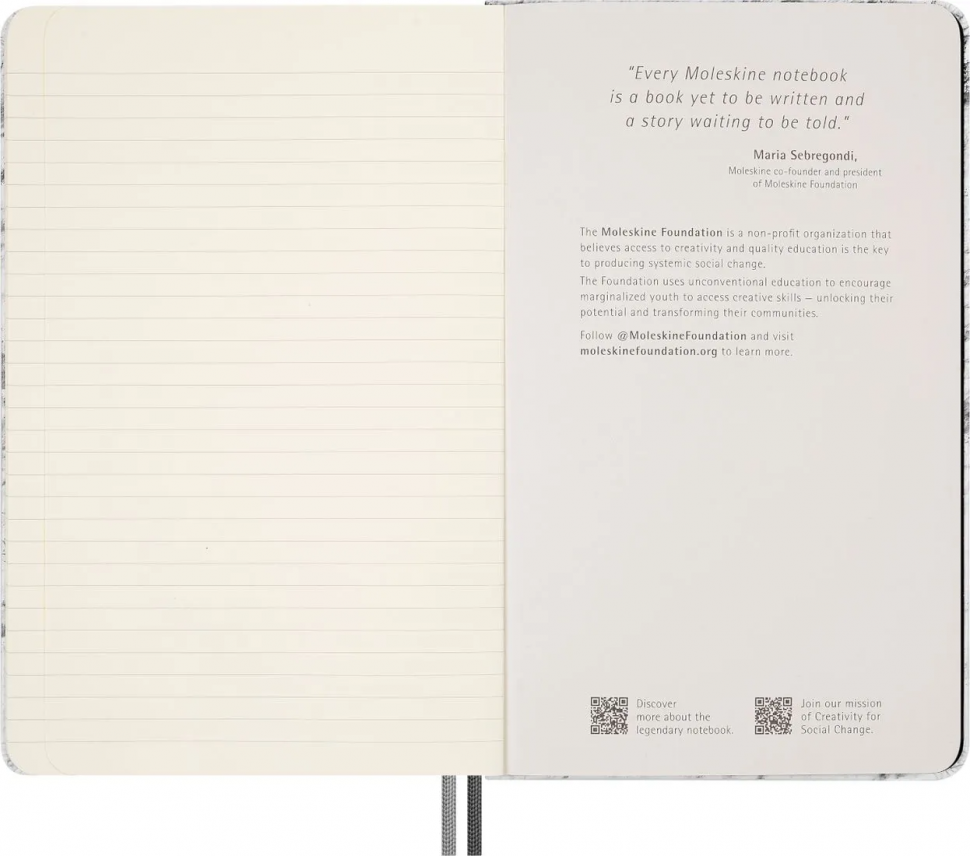 Набор Moleskine Limited Edition NASA-inspired Large - блокнот 130 х 210 мм с линовкой в линию, четыре карандаша и два шильда