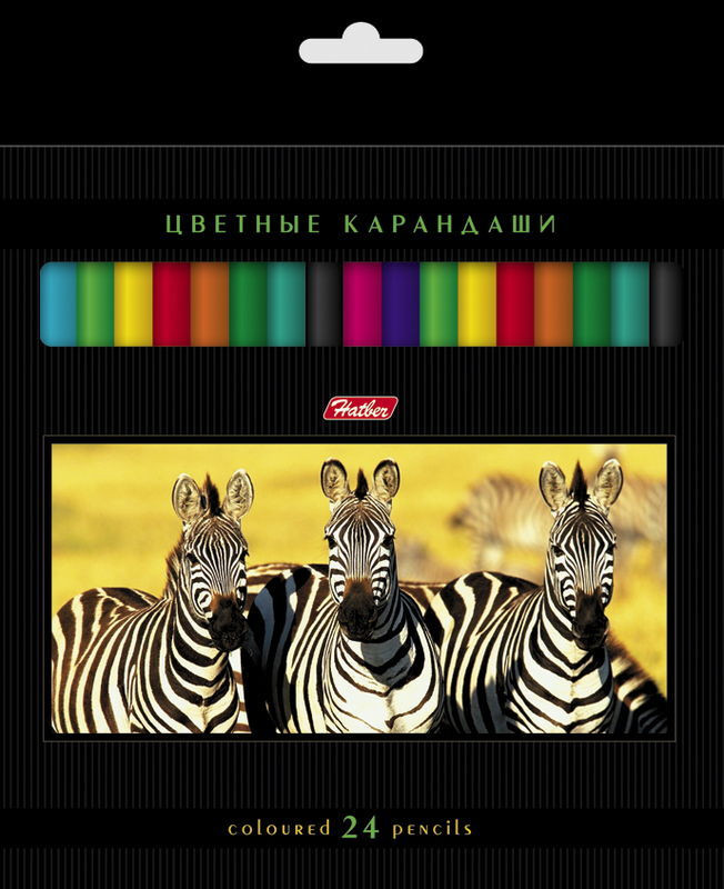 Карандаши "Дикий мир", 24цв., ХАТБЕР 