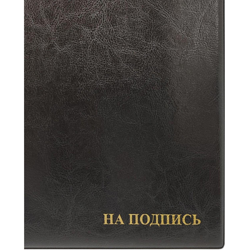 Папка адресная "На подпись" формата А4, увеличенная вместимость до 100 листов, ПВХ, черная